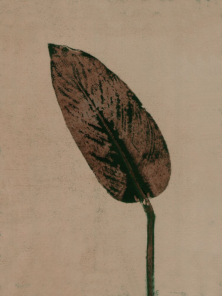 Calathea Brown art print by Pernille Folcarelli for $57.95 CAD