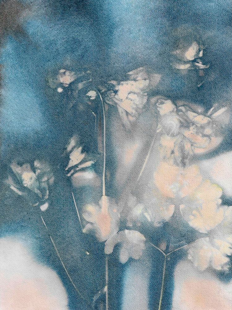 Columbine 2 Peach Blue art print by Pernille Folcarelli for $57.95 CAD