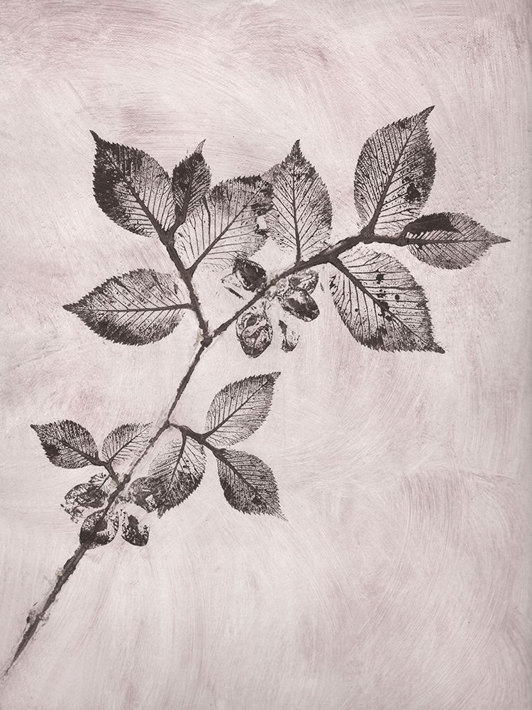 Elm 1 Brown art print by Pernille Folcarelli for $57.95 CAD