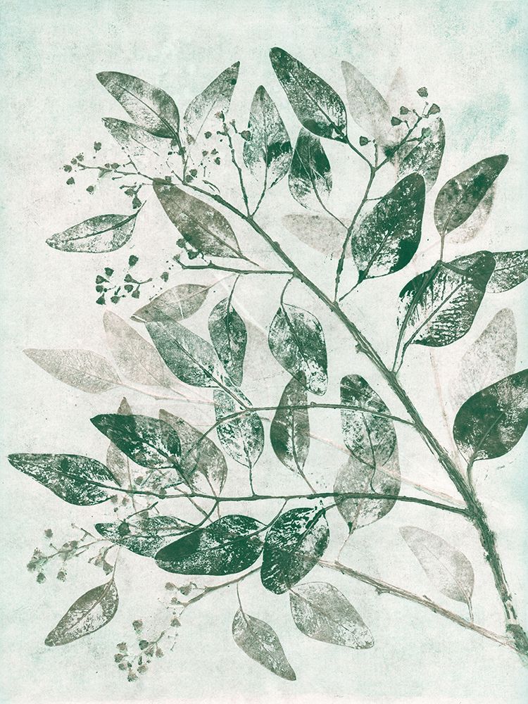 Eucalyptus 1 Green art print by Pernille Folcarelli for $57.95 CAD