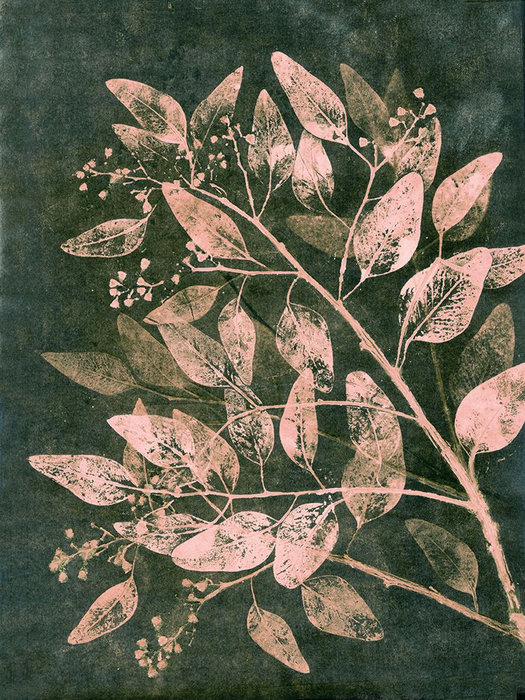 Eucalyptus 1 Moss Blush art print by Pernille Folcarelli for $57.95 CAD