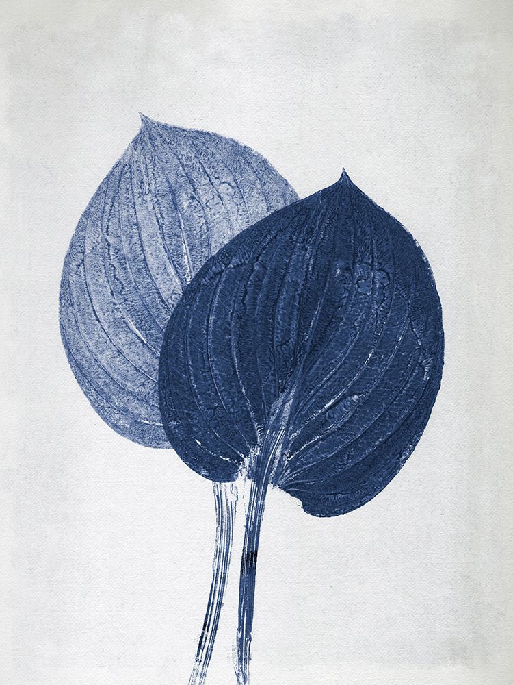 Hosta 2 Blue art print by Pernille Folcarelli for $57.95 CAD