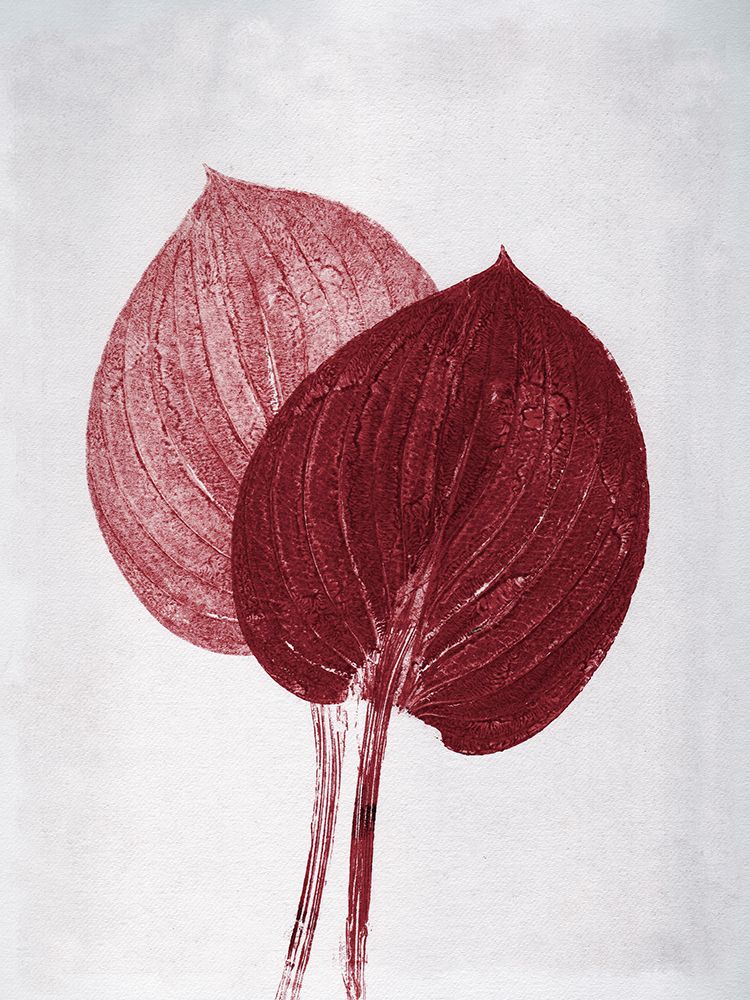 Hosta 2 Bordeaux art print by Pernille Folcarelli for $57.95 CAD