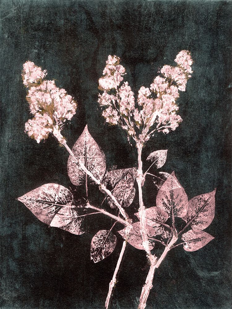 Lilac 1 Blush Dark Green art print by Pernille Folcarelli for $57.95 CAD