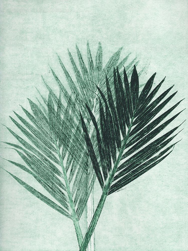 Palm 4 Green art print by Pernille Folcarelli for $57.95 CAD
