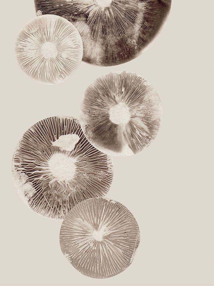 Mushroom 6 Light Brown art print by Pernille Folcarelli for $57.95 CAD