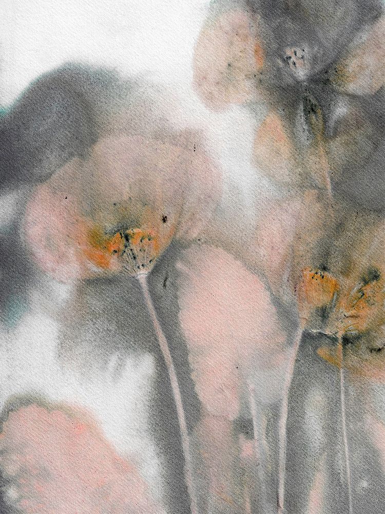 Poppy Salmon Grey art print by Pernille Folcarelli for $57.95 CAD