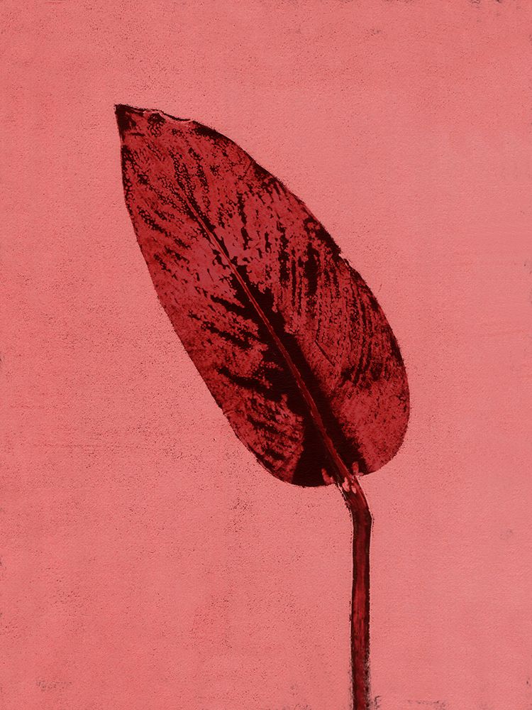 Calathea Red art print by Pernille Folcarelli for $57.95 CAD