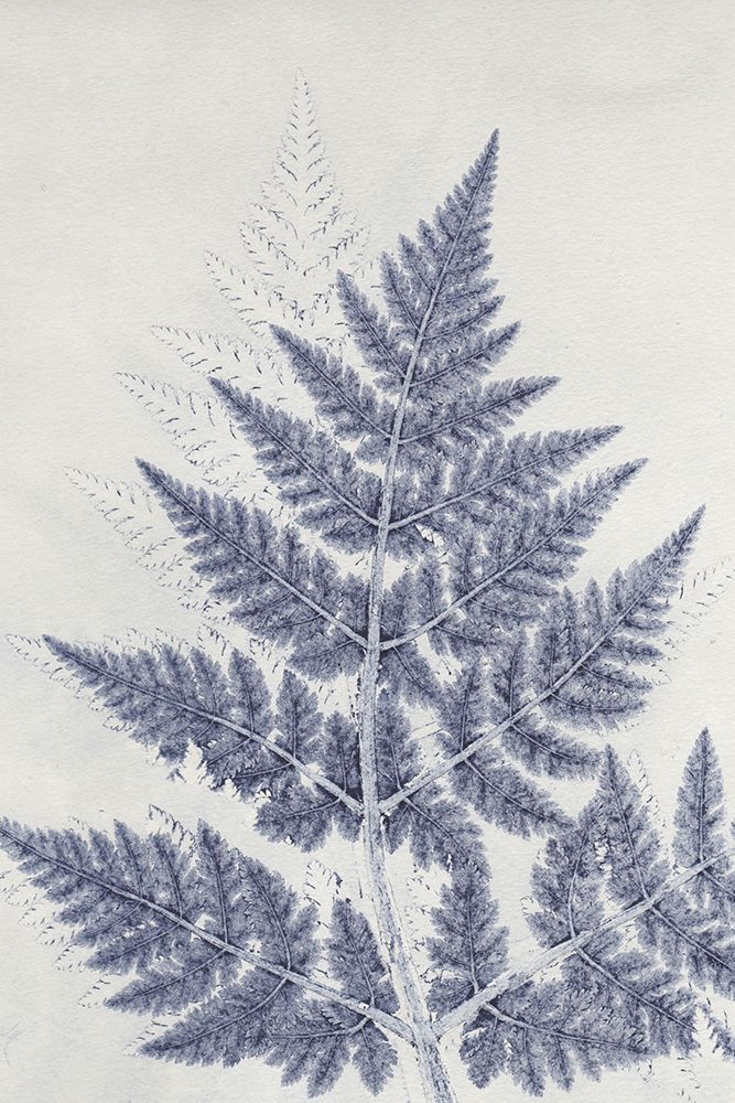 Chevril 1 art print by Pernille Folcarelli for $57.95 CAD