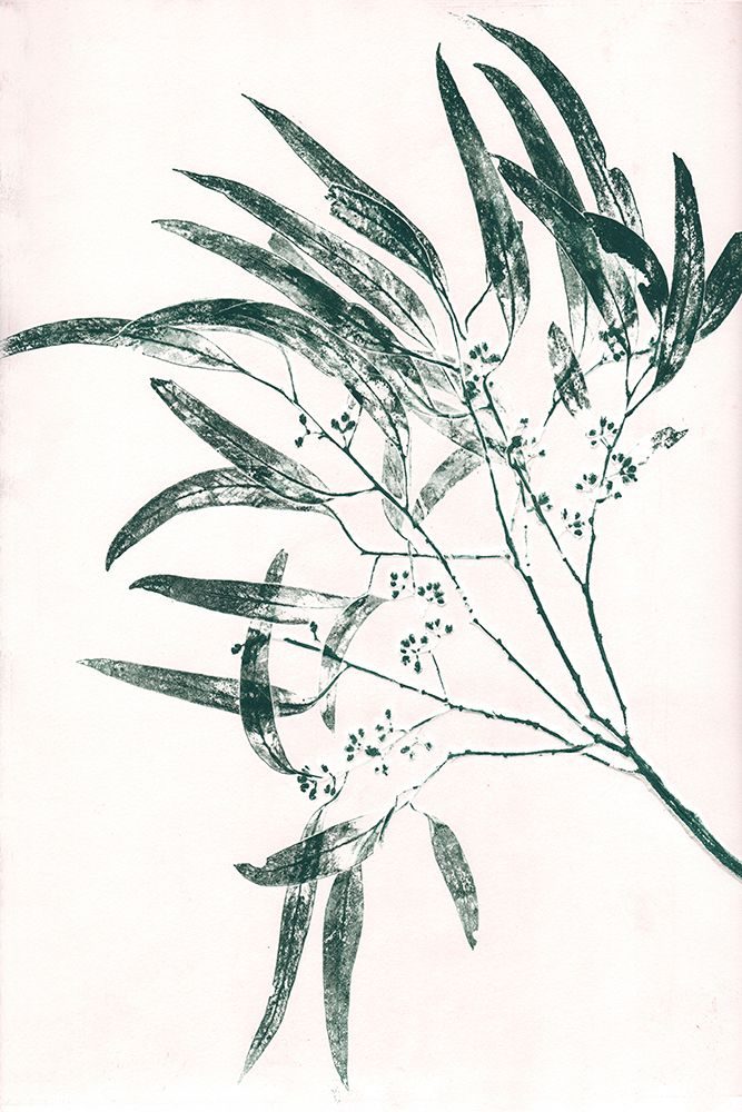 Eucalyptus 2 Green art print by Pernille Folcarelli for $57.95 CAD
