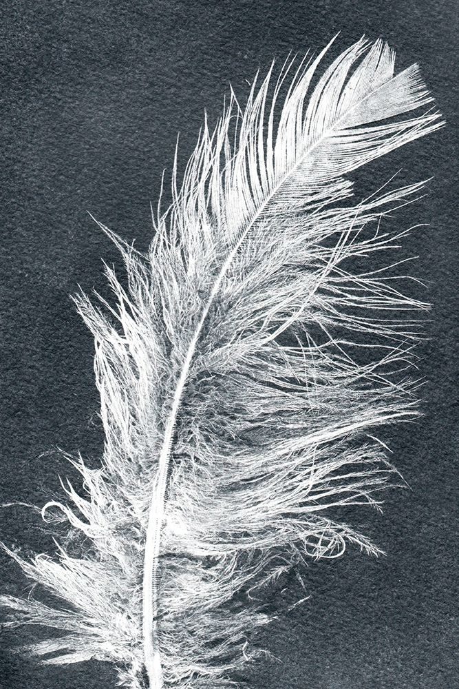 Feather 1 Dark art print by Pernille Folcarelli for $57.95 CAD