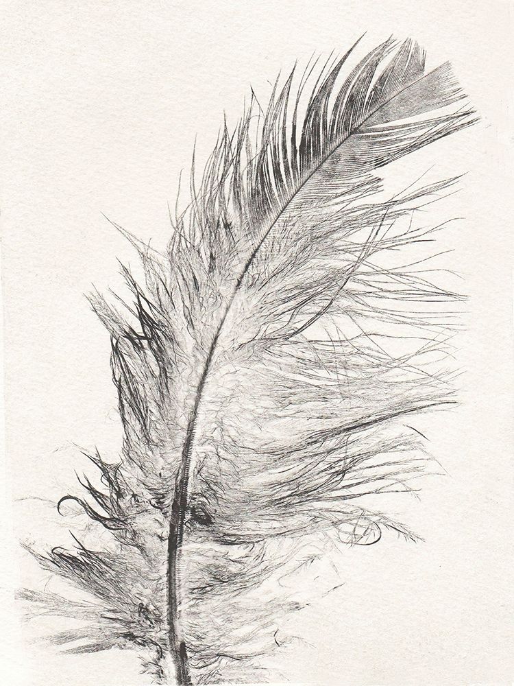 Feather 1 Light art print by Pernille Folcarelli for $57.95 CAD