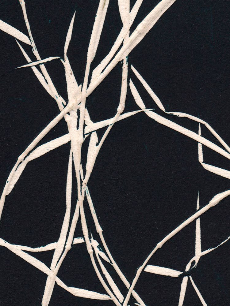 Grass Detail Black art print by Pernille Folcarelli for $57.95 CAD