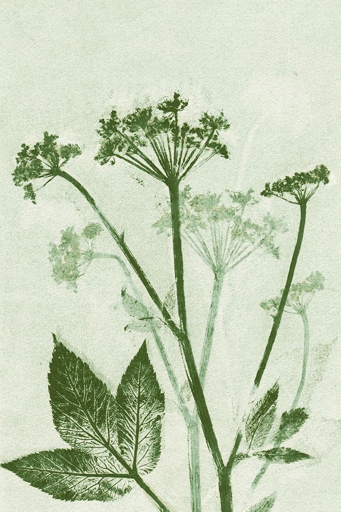 Ground Elder Green art print by Pernille Folcarelli for $57.95 CAD