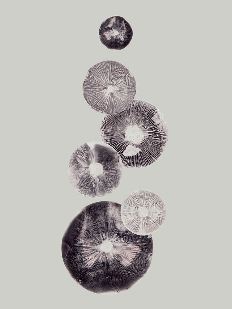 Mushroom Light Grey art print by Pernille Folcarelli for $57.95 CAD