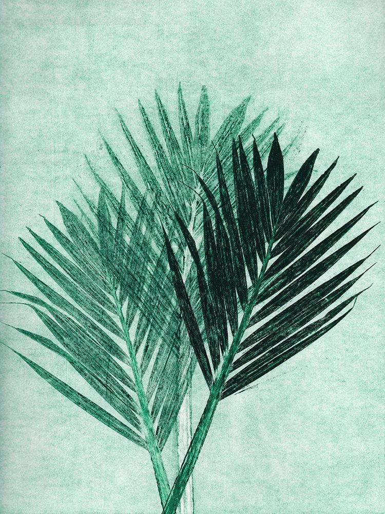 Palm 4 Green art print by Pernille Folcarelli for $57.95 CAD