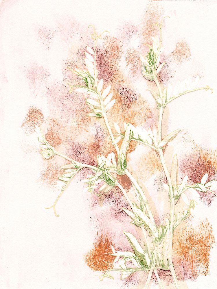 Vicia 2 Multi art print by Pernille Folcarelli for $57.95 CAD
