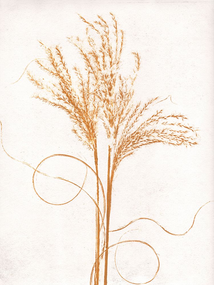 Silvergrass Mustard art print by Pernille Folcarelli for $57.95 CAD