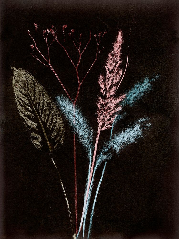 Bouquet 4 Dark art print by Pernille Folcarelli for $57.95 CAD