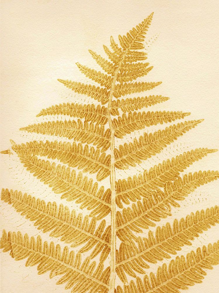 Fern Mustard art print by Pernille Folcarelli for $57.95 CAD