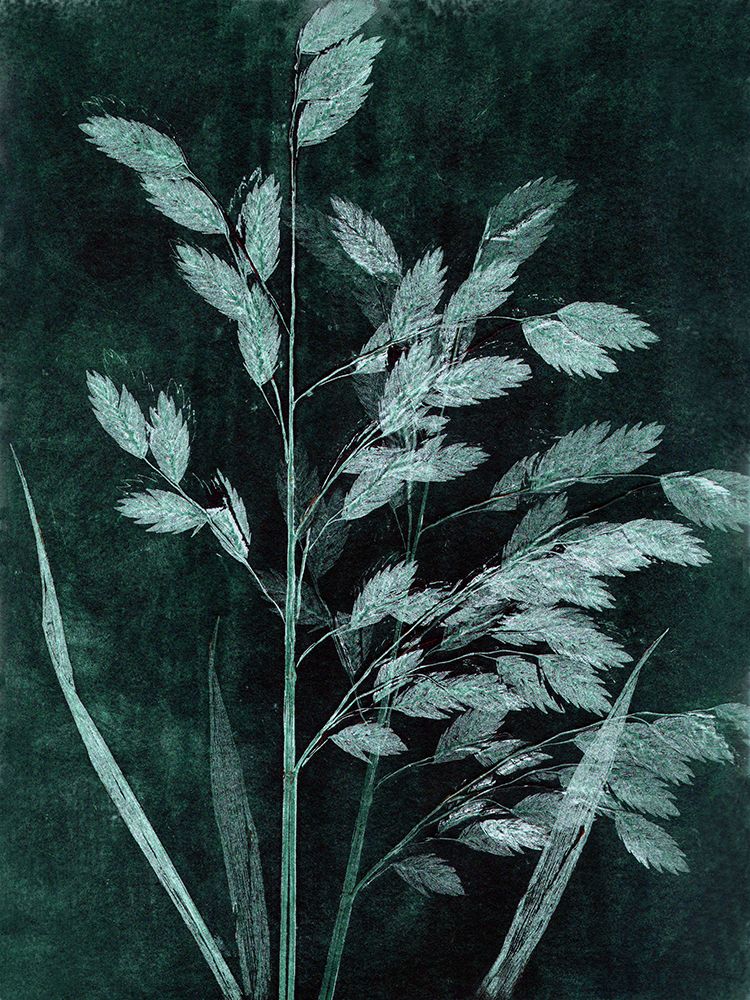 Grass Petrol art print by Pernille Folcarelli for $57.95 CAD