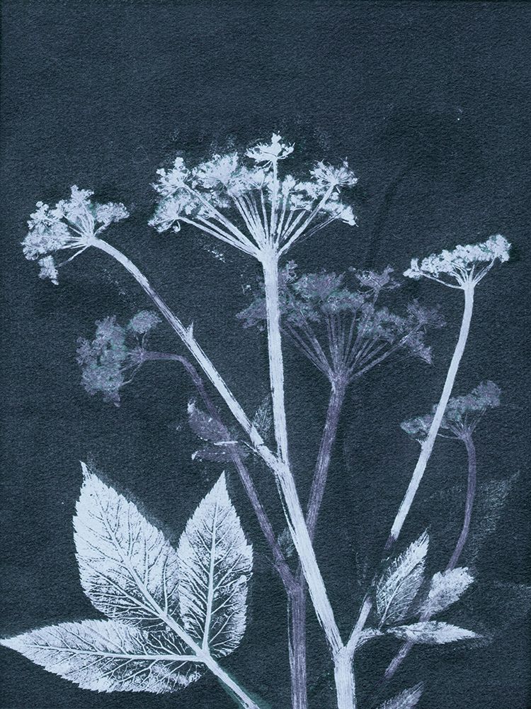 Ground Elder art print by Pernille Folcarelli for $57.95 CAD