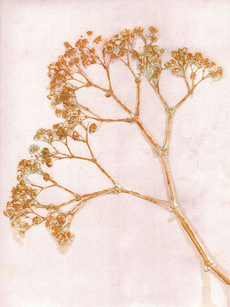 Gypso Ochre art print by Pernille Folcarelli for $57.95 CAD