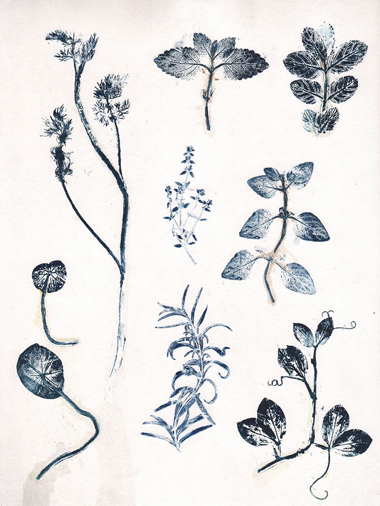 Herbs Garden Blue art print by Pernille Folcarelli for $57.95 CAD