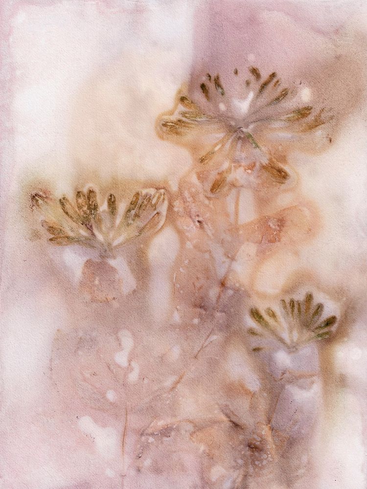 Honeysuckle Golden Rose art print by Pernille Folcarelli for $57.95 CAD
