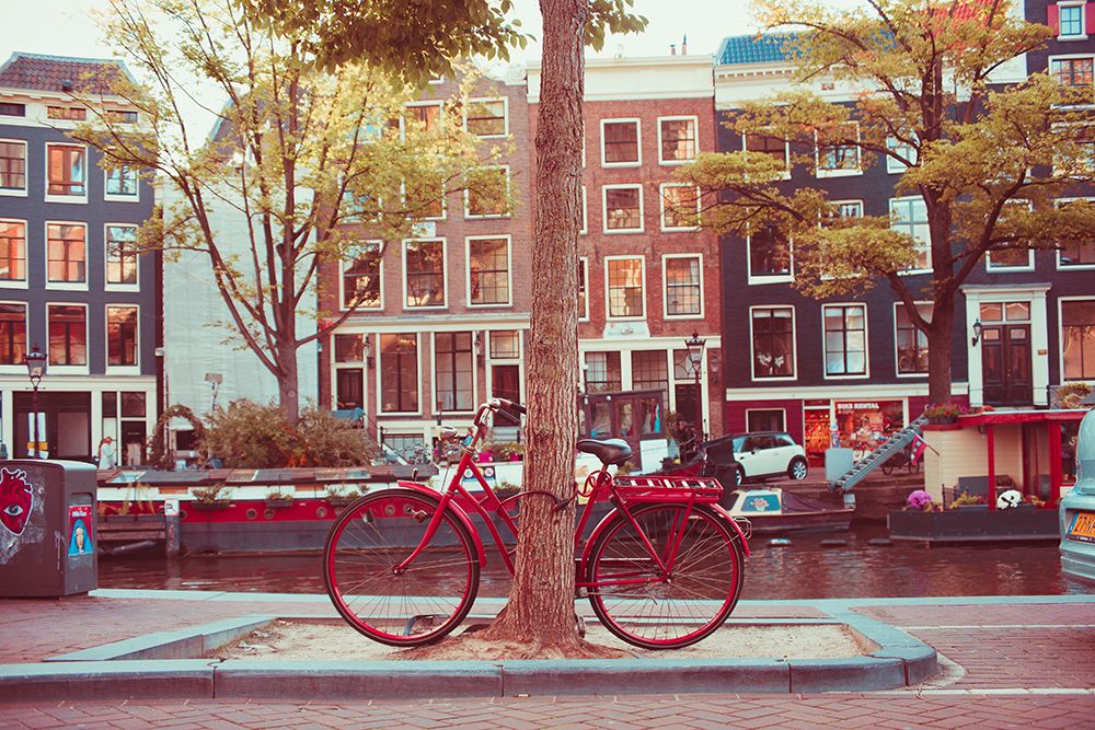 Amsterdam Bikes No. 2 art print by Sonja Quintero for $57.95 CAD
