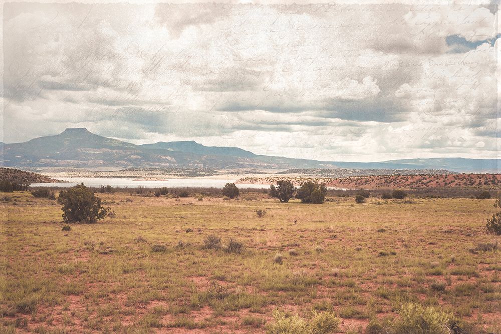 New Mexico Dream art print by Sonja Quintero for $57.95 CAD