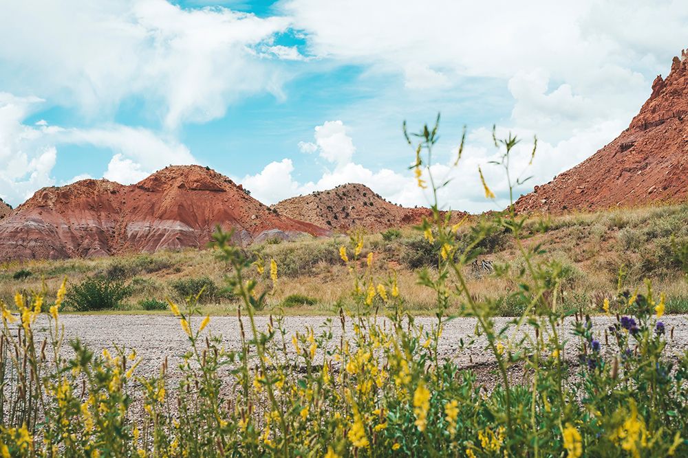 New Mexico Drive art print by Sonja Quintero for $57.95 CAD