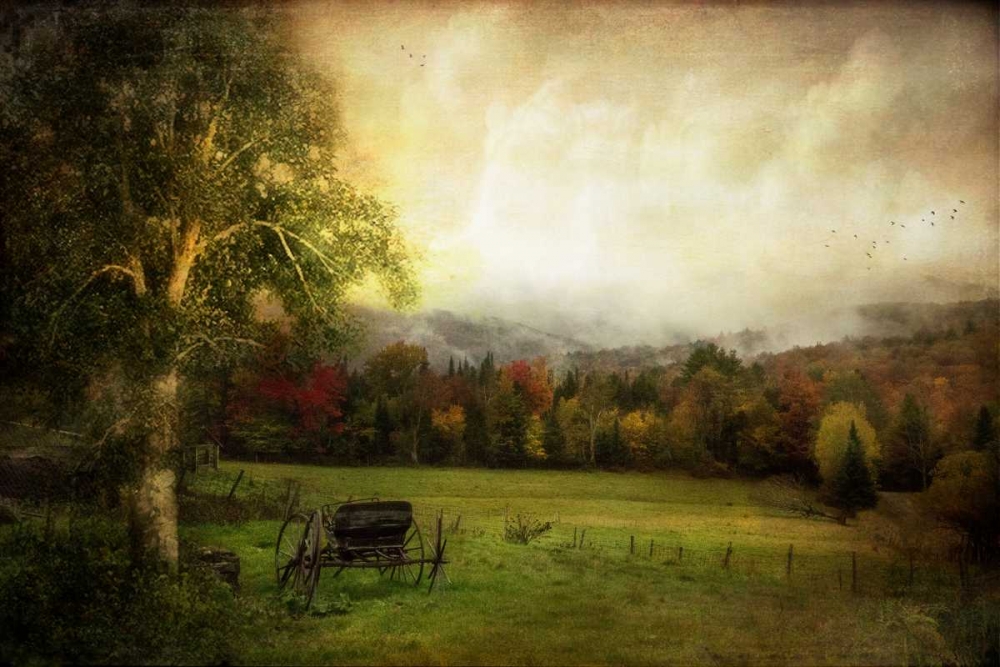 Abandoned Wagon art print by John Rivera for $57.95 CAD