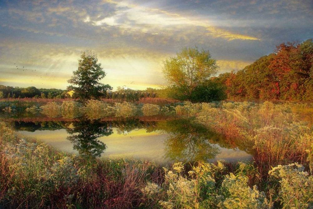 Arrival of Dawn art print by John Rivera for $57.95 CAD