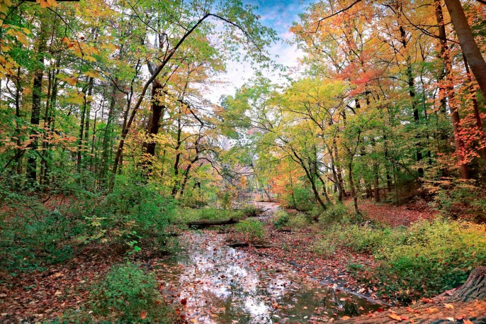Autumn at Hopkins Pond art print by John Rivera for $57.95 CAD
