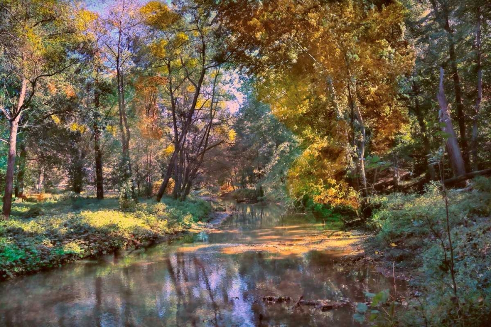 Autumn in The Afternoon art print by John Rivera for $57.95 CAD