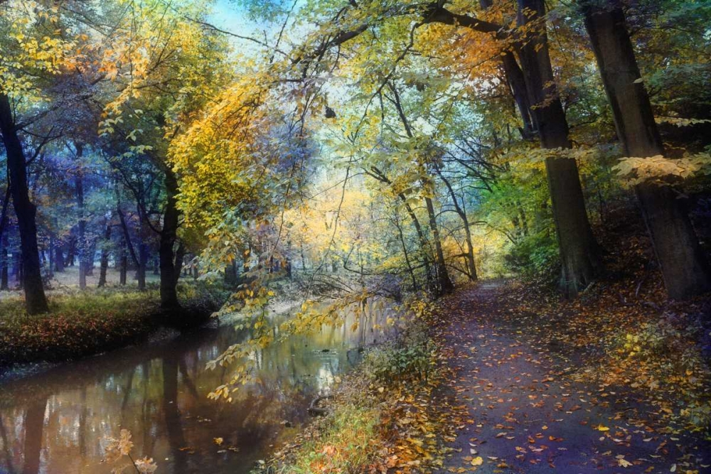 Autumn Walk art print by John Rivera for $57.95 CAD