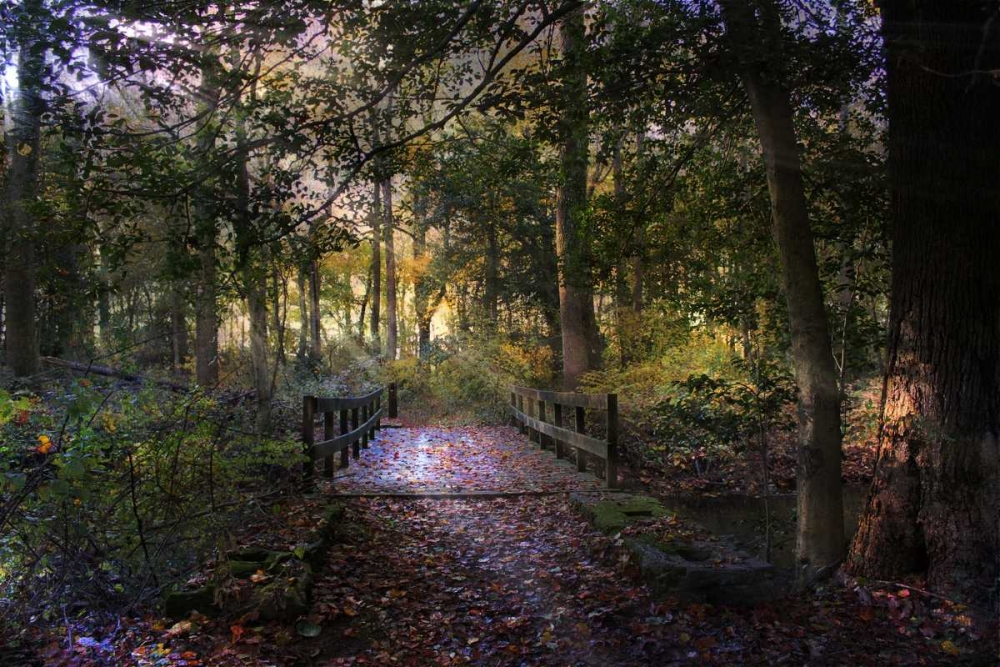Beyond The Wooden Bridge art print by John Rivera for $57.95 CAD