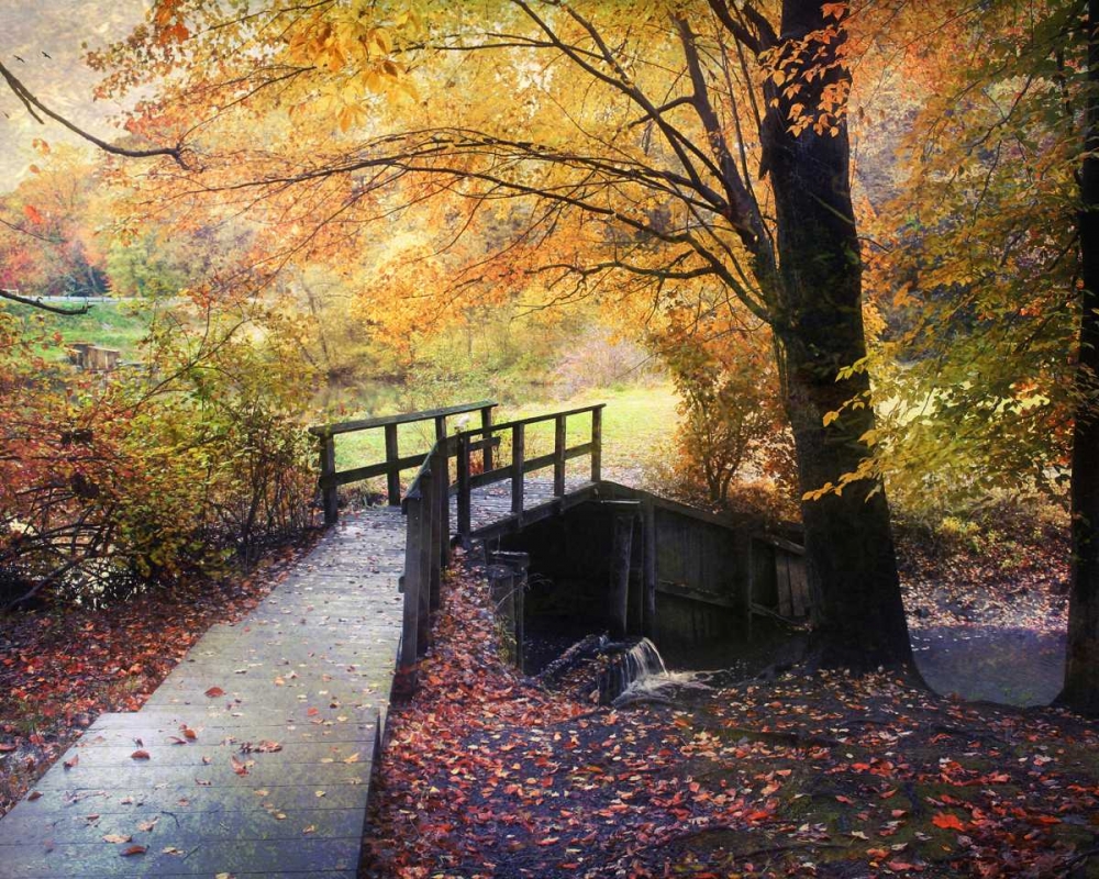 Foot Bridge art print by John Rivera for $57.95 CAD
