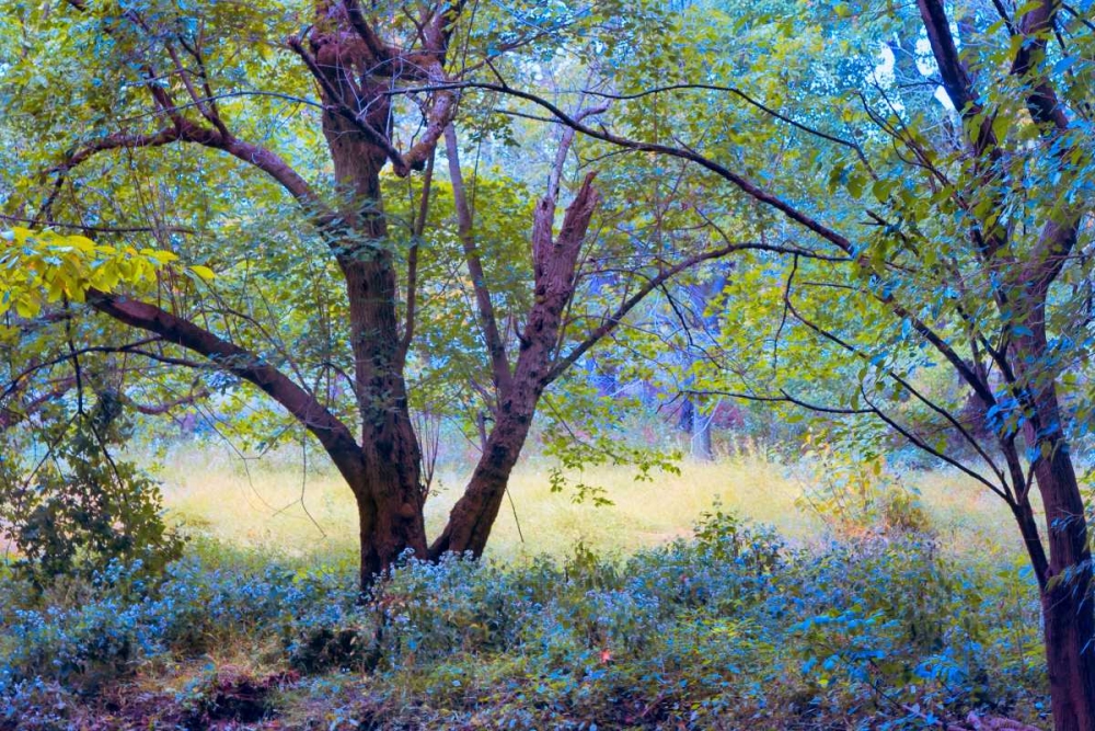 Forgotten Day Dreams art print by John Rivera for $57.95 CAD