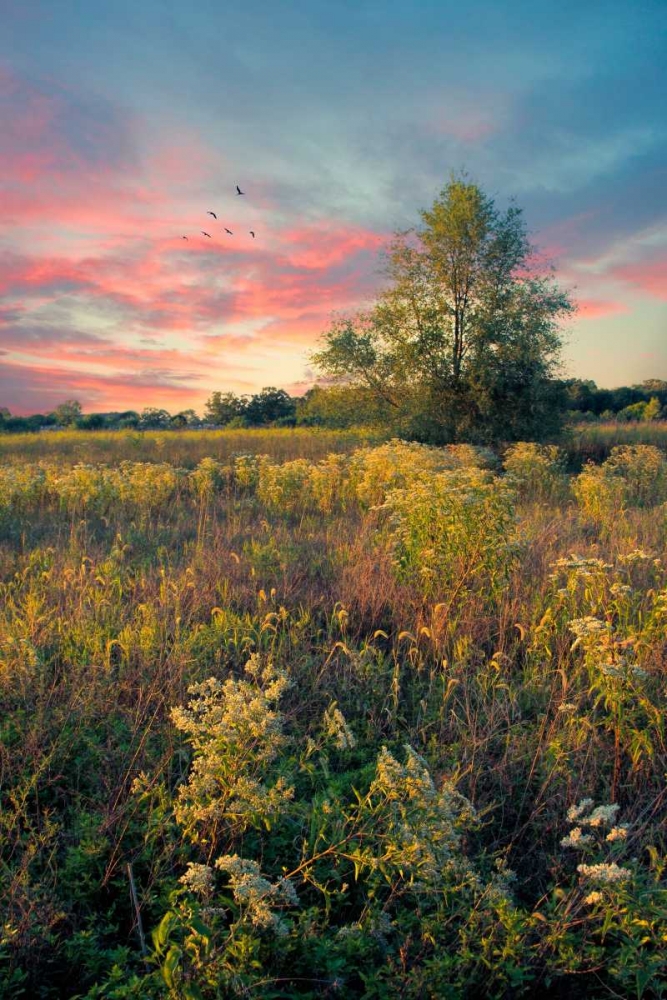 Grateful for The Day art print by John Rivera for $57.95 CAD
