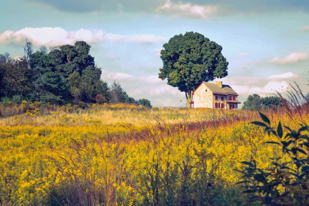 House on a Hill art print by John Rivera for $57.95 CAD