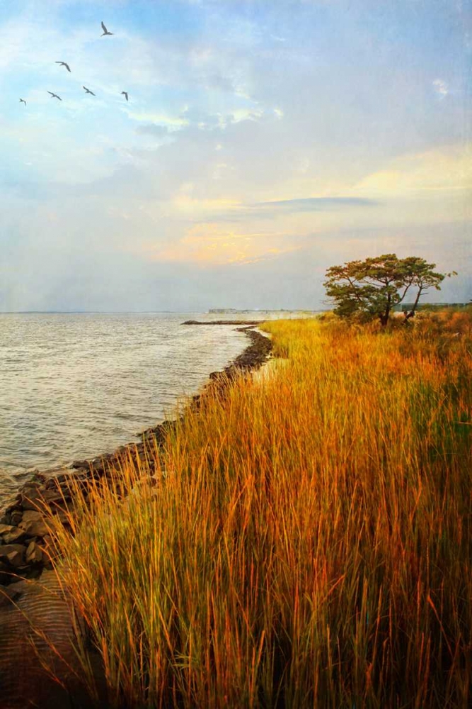 Morning Has Broken art print by John Rivera for $57.95 CAD