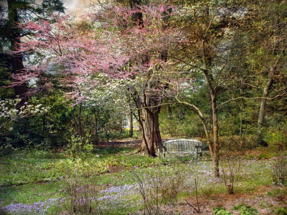 Spring art print by John Rivera for $57.95 CAD