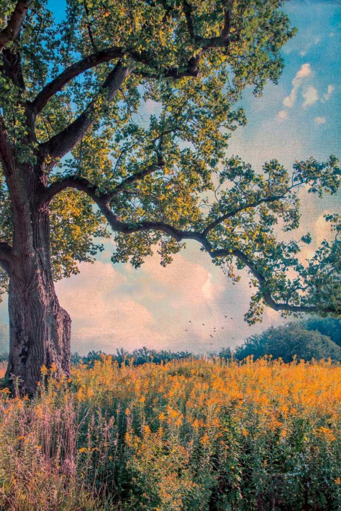 Where I Daydream art print by John Rivera for $57.95 CAD