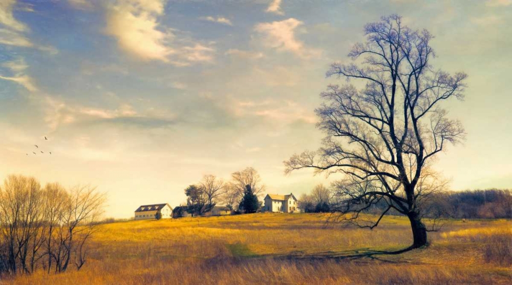 When I Come Back art print by John Rivera for $57.95 CAD