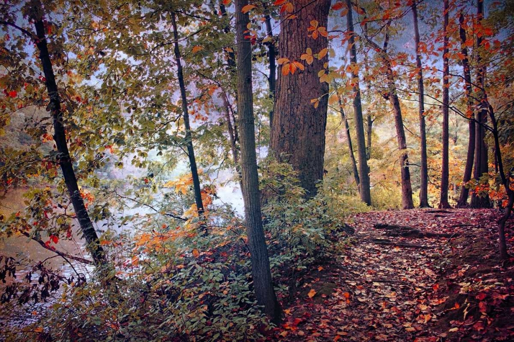 Season of Colors art print by John Rivera for $57.95 CAD
