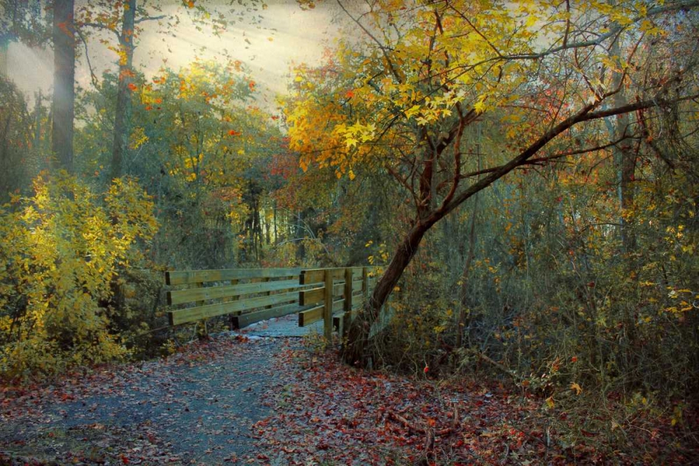 Good Morning art print by John Rivera for $57.95 CAD