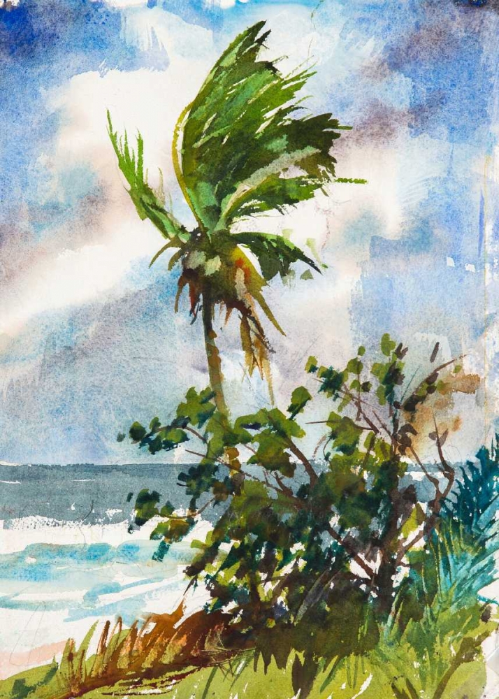 Ocean Breeze art print by Richard A. Rodgers for $57.95 CAD