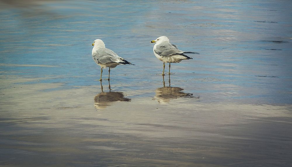 Silent They Wait art print by Eunika Rogers for $57.95 CAD